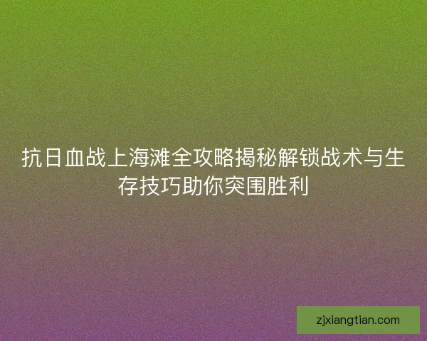 抗日血战上海滩全攻略揭秘解锁战术与生存技巧助你突围胜利