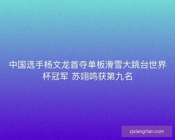 中国选手杨文龙首夺单板滑雪大跳台世界杯冠军 苏翊鸣获第九名