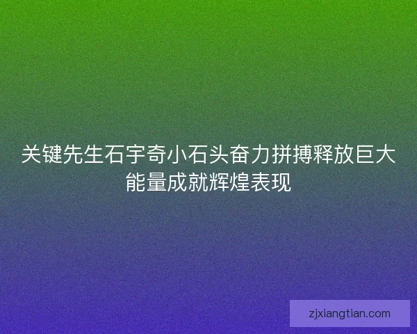 关键先生石宇奇小石头奋力拼搏释放巨大能量成就辉煌表现