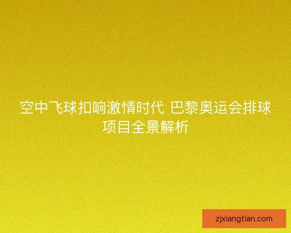 空中飞球扣响激情时代 巴黎奥运会排球项目全景解析